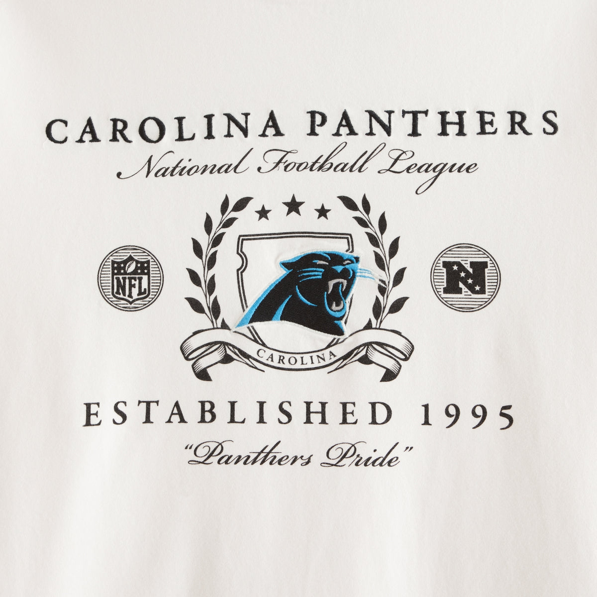 Abercrombie Tennessee Titans Premium Heavyweight 2.0 Tee