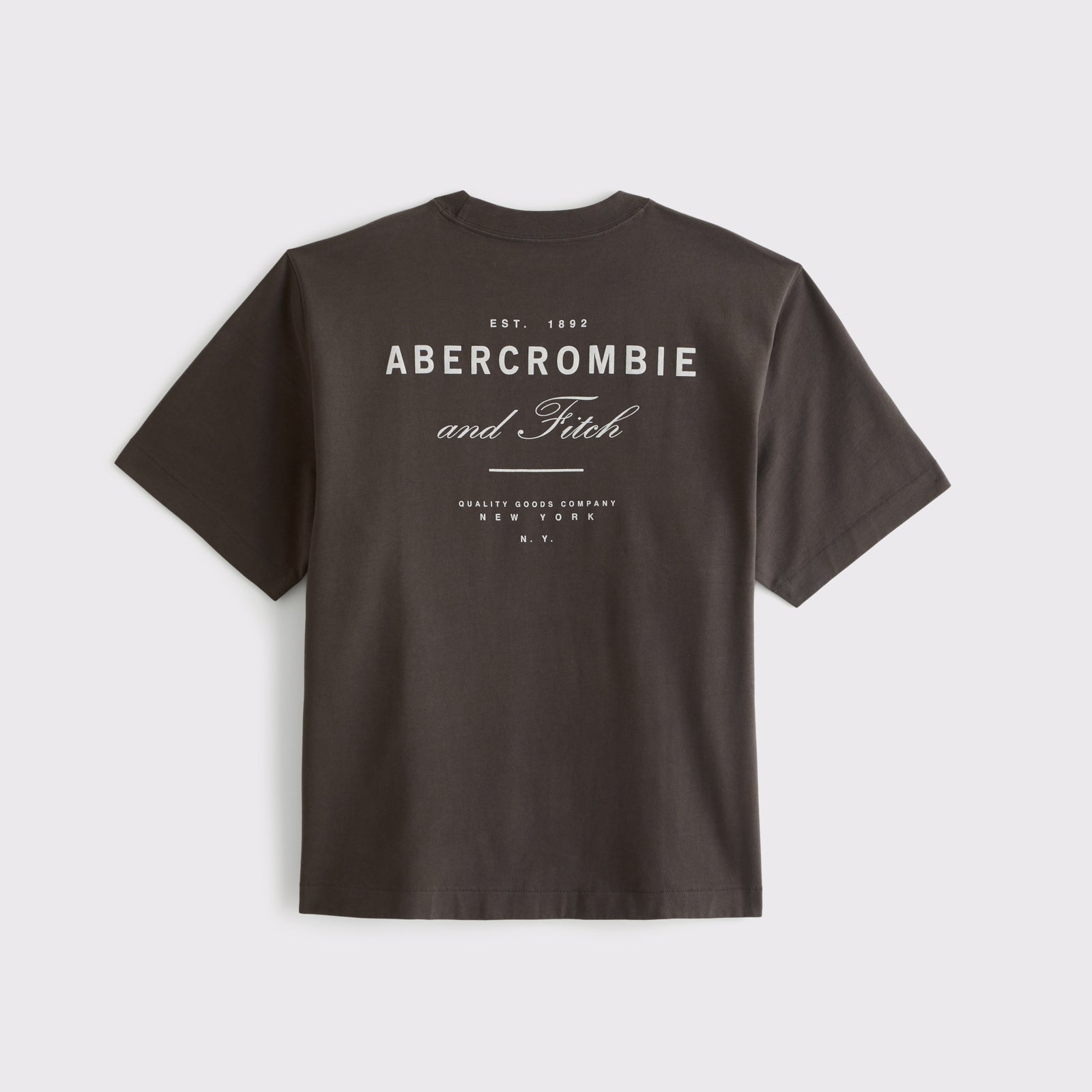 Abercrombie Premium Heavyweight 2.0 Logo Tee
