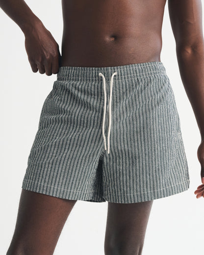 Abercrombie Pull-On Embroidered Swim Trunk