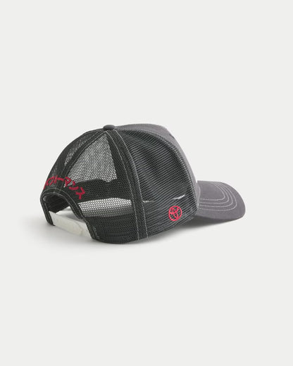 Hollister Toyota Supra Graphic Trucker Hat