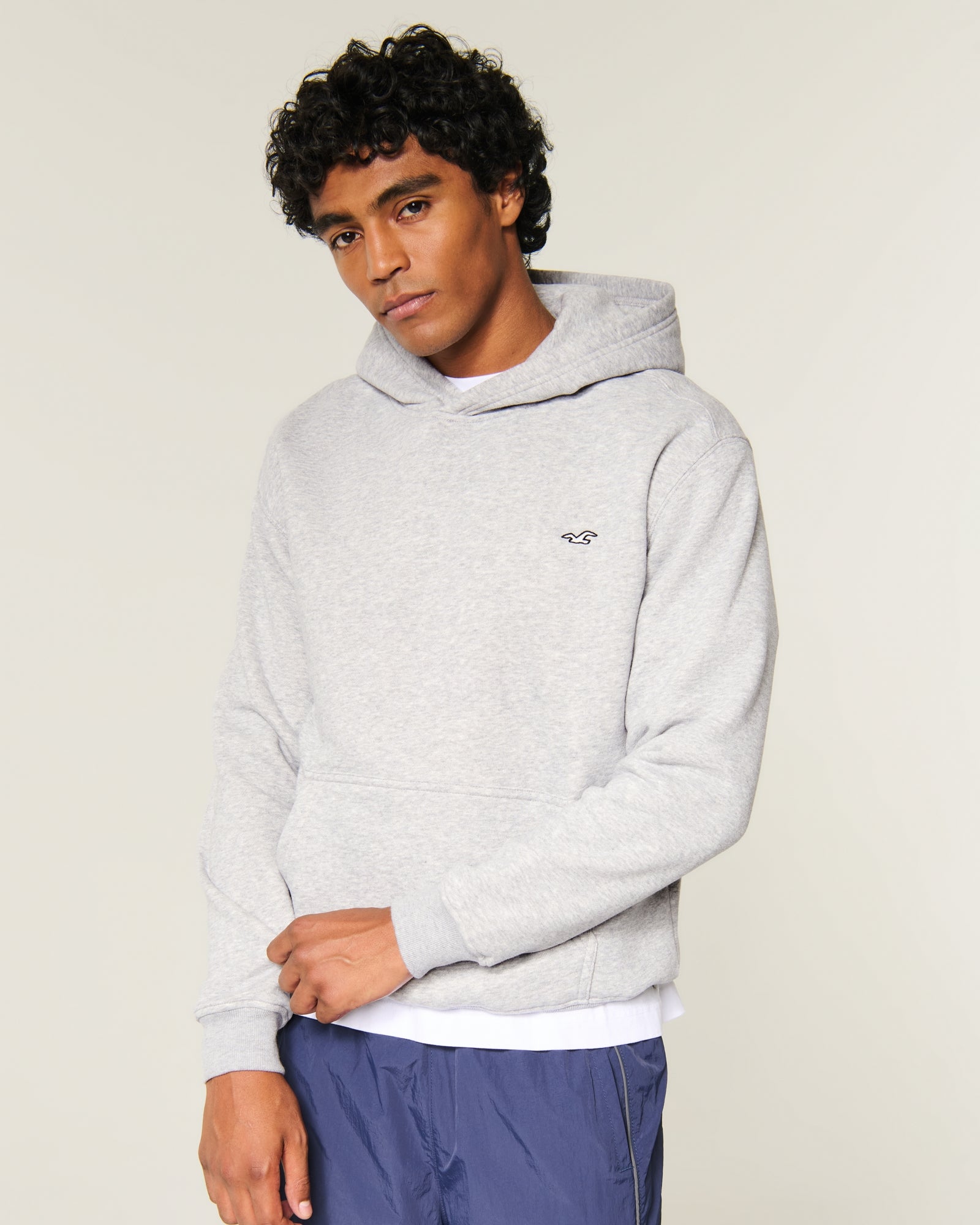 Hollister Relaxed Icon Hoodie