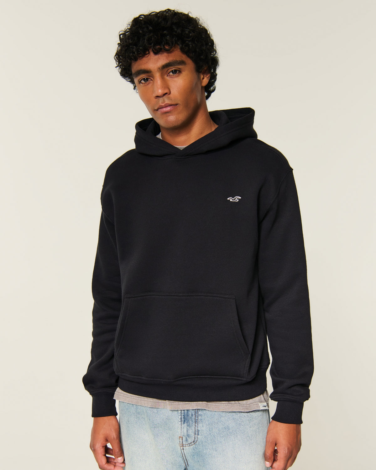 Hollister Relaxed Icon Hoodie