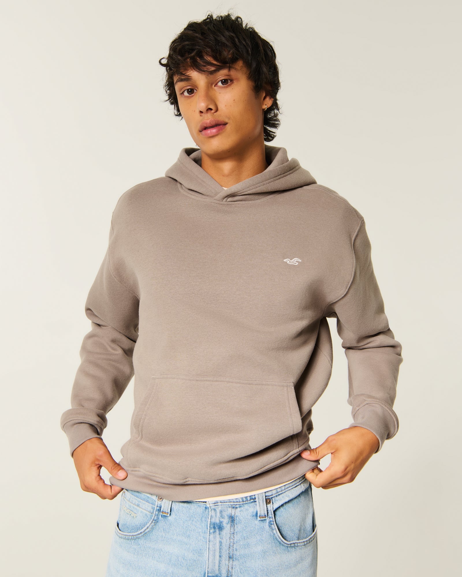 Hollister Relaxed Icon Hoodie