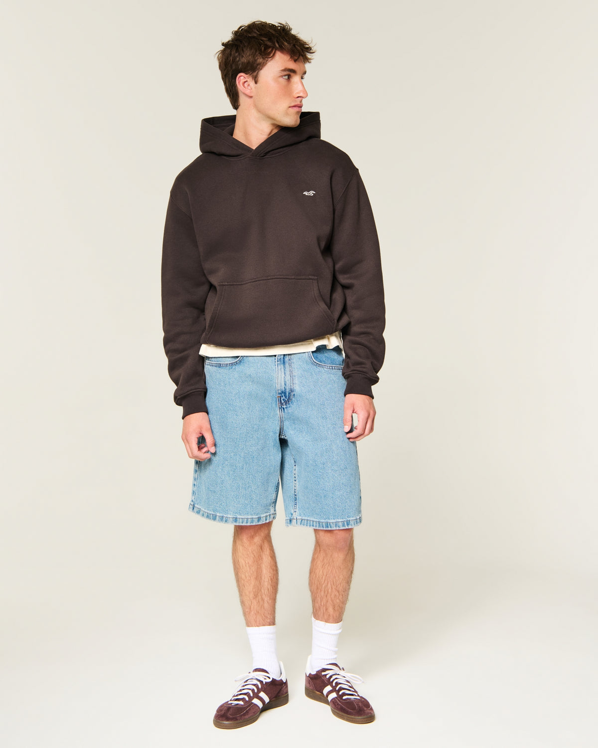 Hollister Relaxed Icon Hoodie