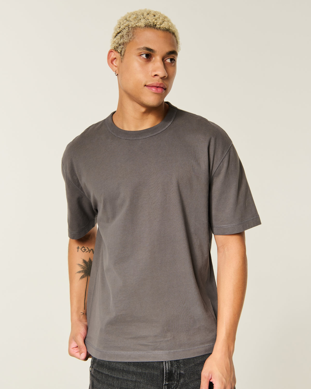 Hollister Reversible Cotton Crew Tee
