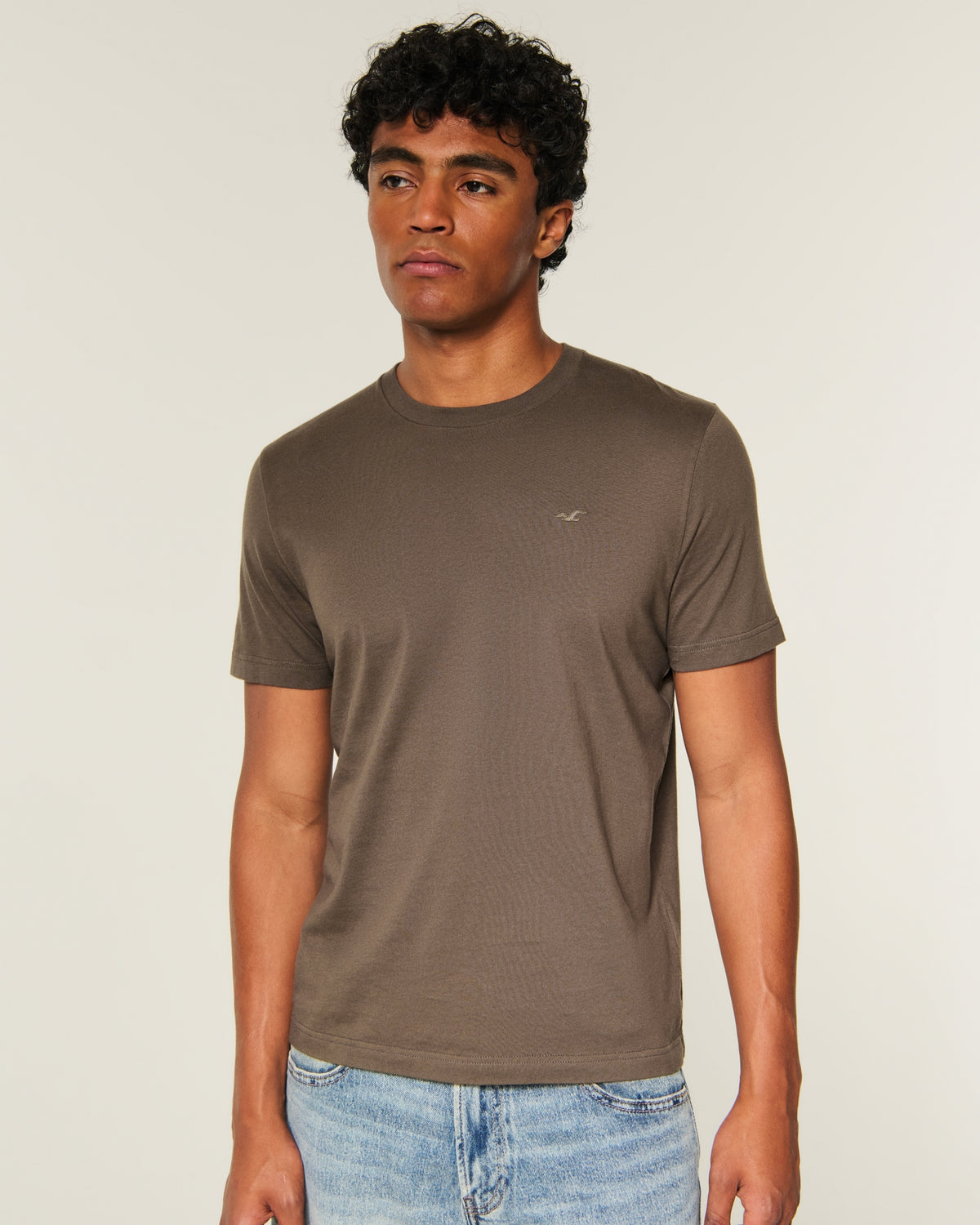 Hollister Must-Have Cotton Icon Tee
