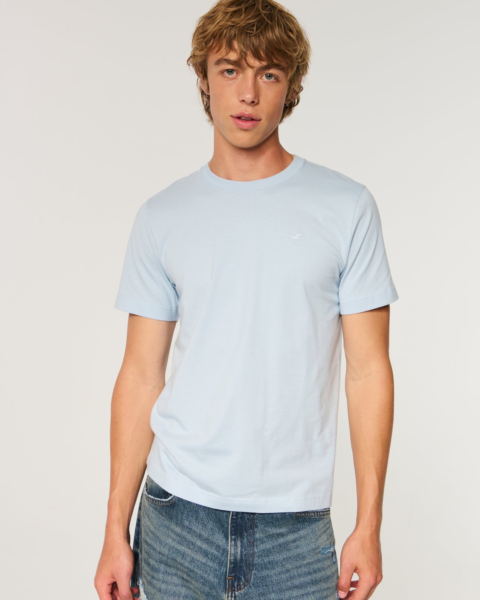 Hollister Must-Have Cotton Icon Tee