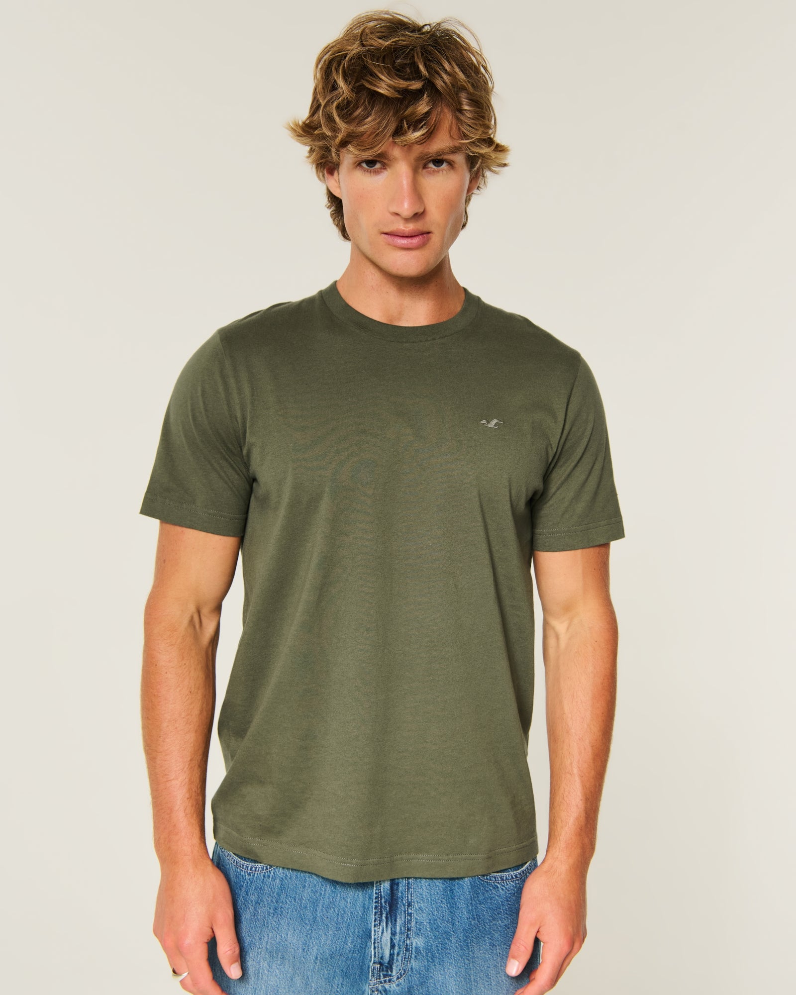Hollister Must-Have Cotton Icon Tee
