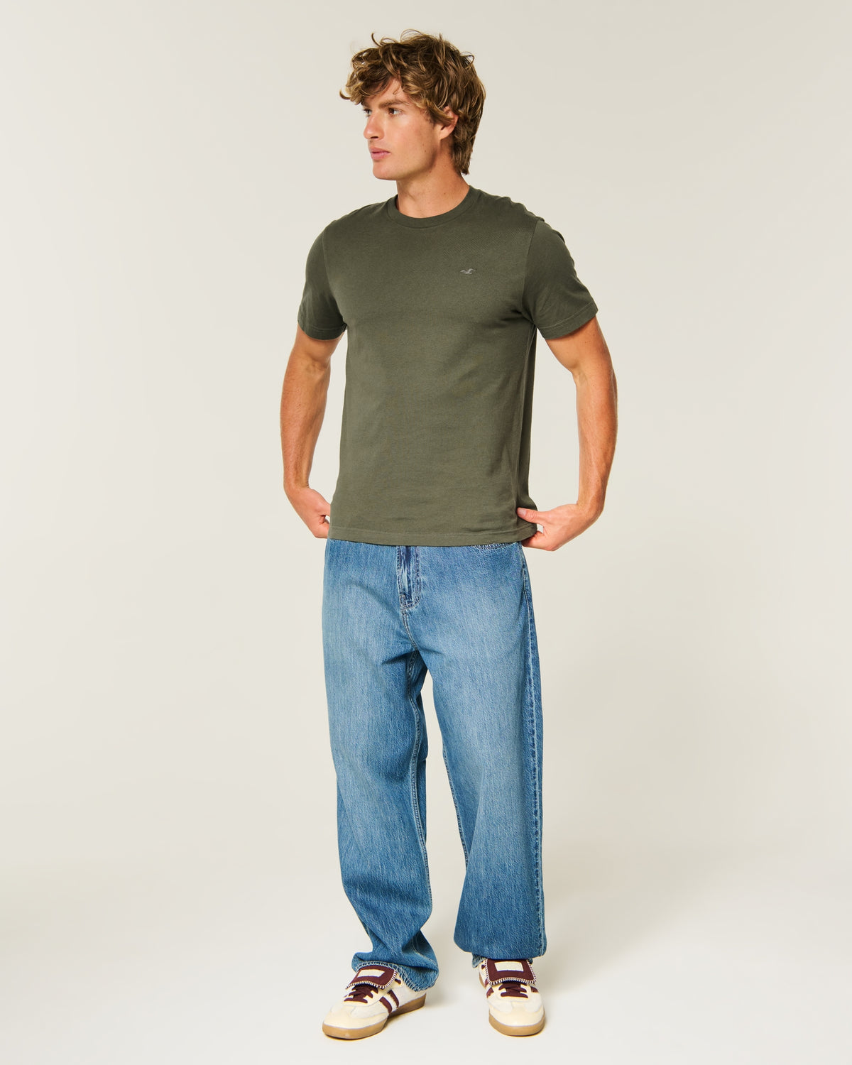 Hollister Must-Have Cotton Icon Tee