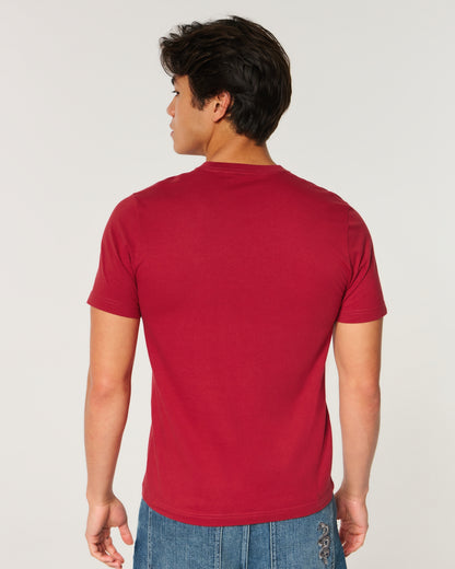 Hollister Must-Have Cotton Icon Tee