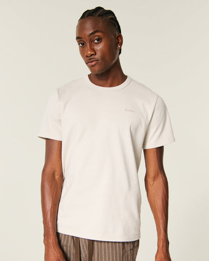 Hollister the Premium Tee