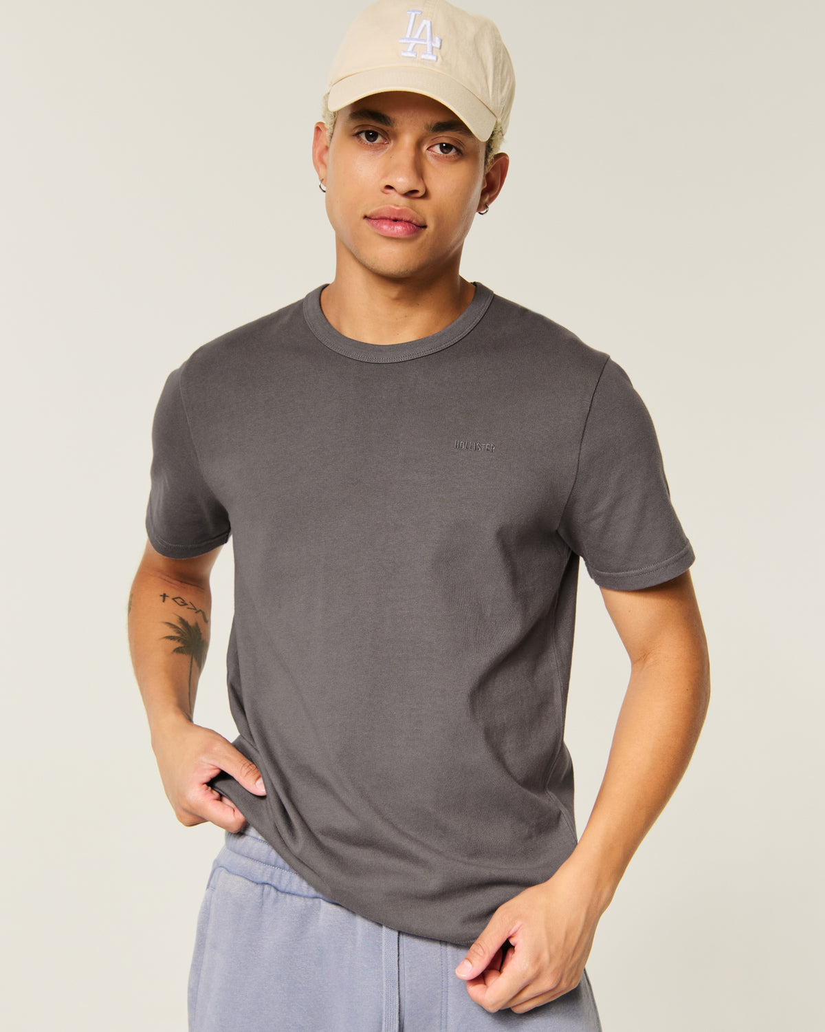 Hollister the Premium Tee