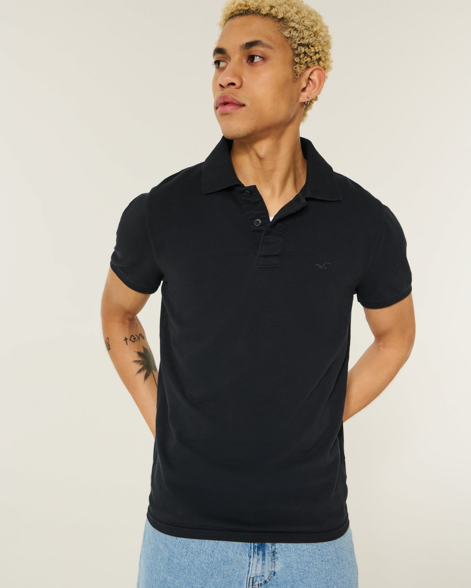 Hollister Icon Polo