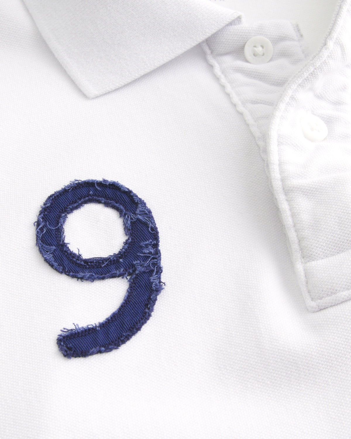 Hollister Icon Polo