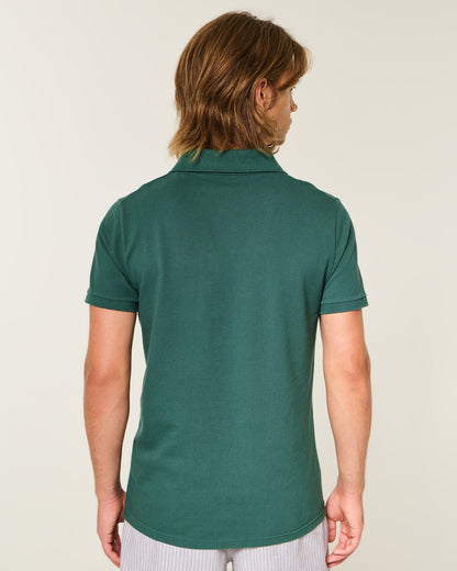 Hollister Icon Polo