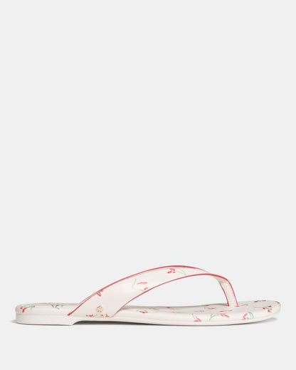 Katespade Sandie Flip Flop Sandal Cream Multi