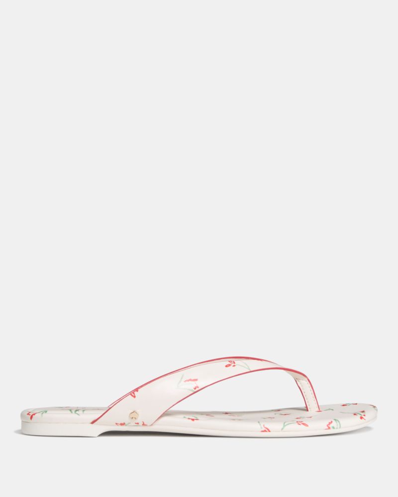 Katespade Sandie Flip Flop Sandal Cream Multi