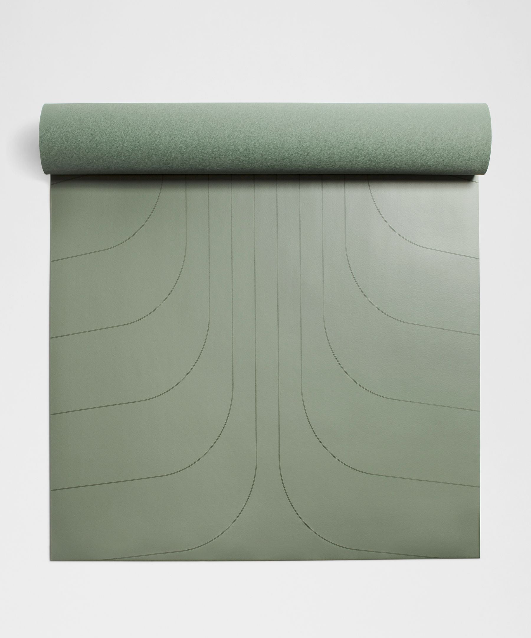 #color_willow-leaf