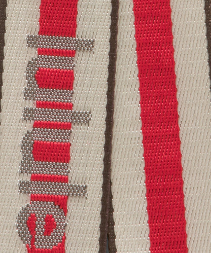 Lululemon Everywhere Crossbody Bag 2L *Striped Wordmark