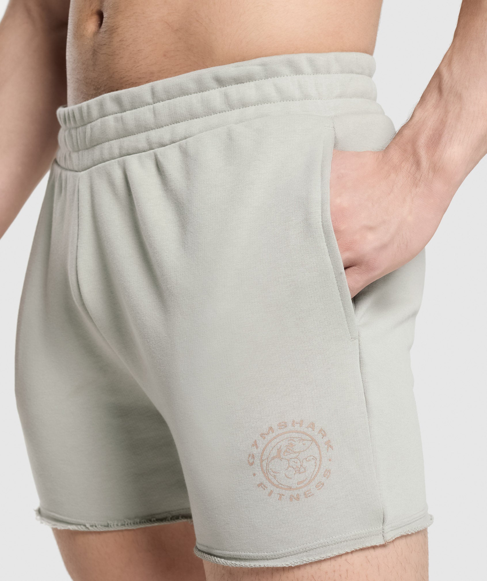 Gymshark Legacy Shorts Stone Grey