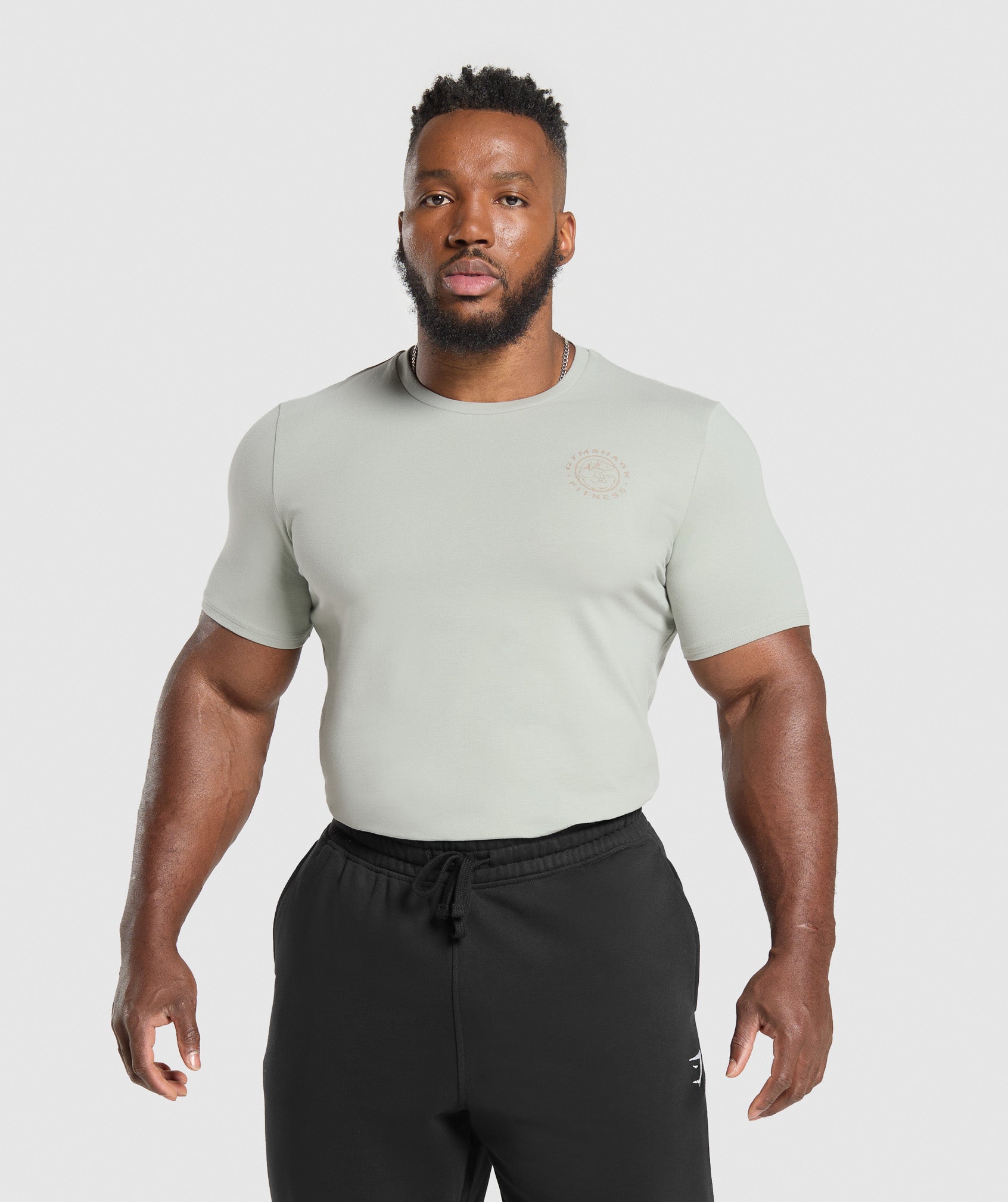 Gymshark Legacy T-Shirt Stone Grey