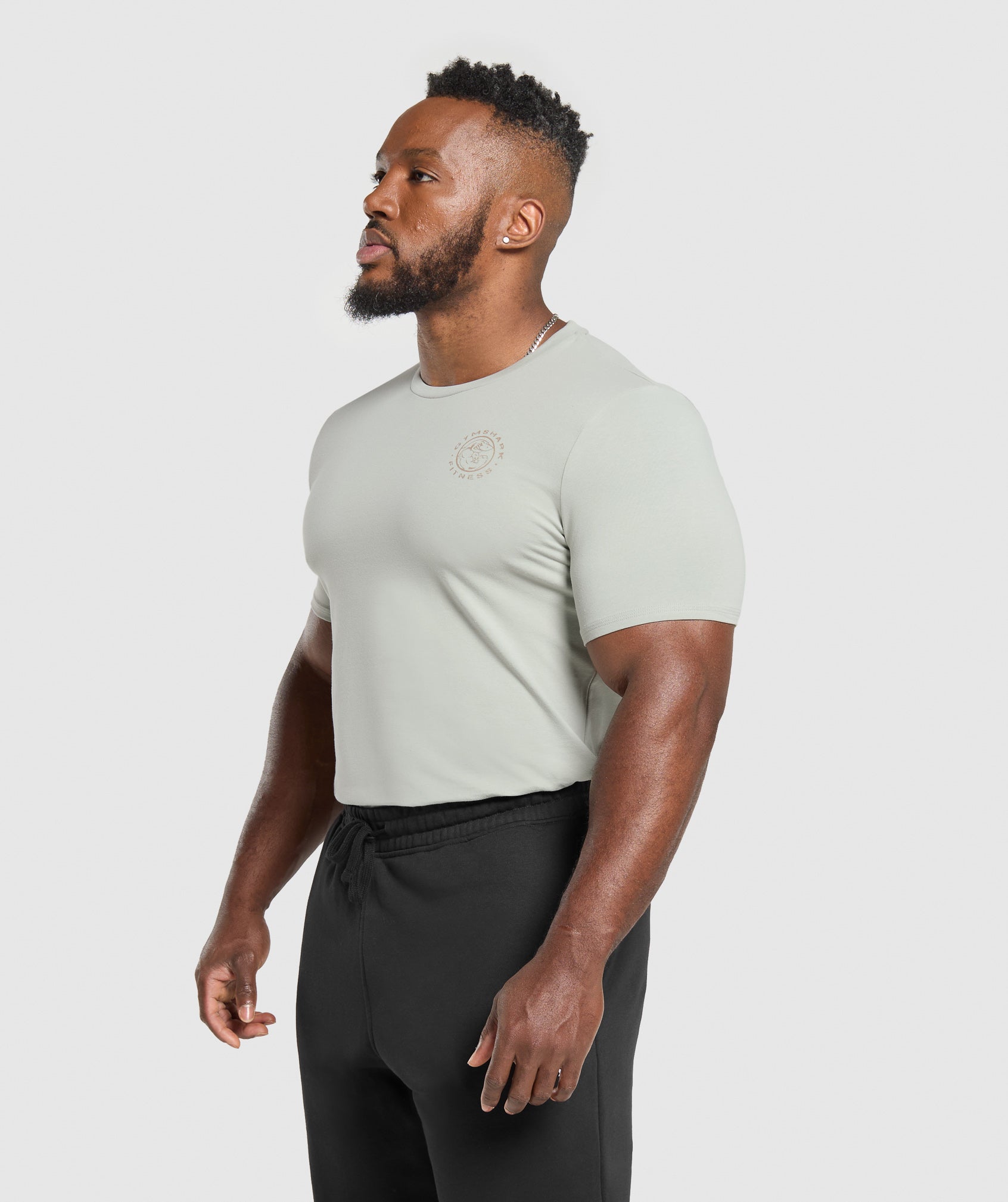 Gymshark Legacy T-Shirt Stone Grey