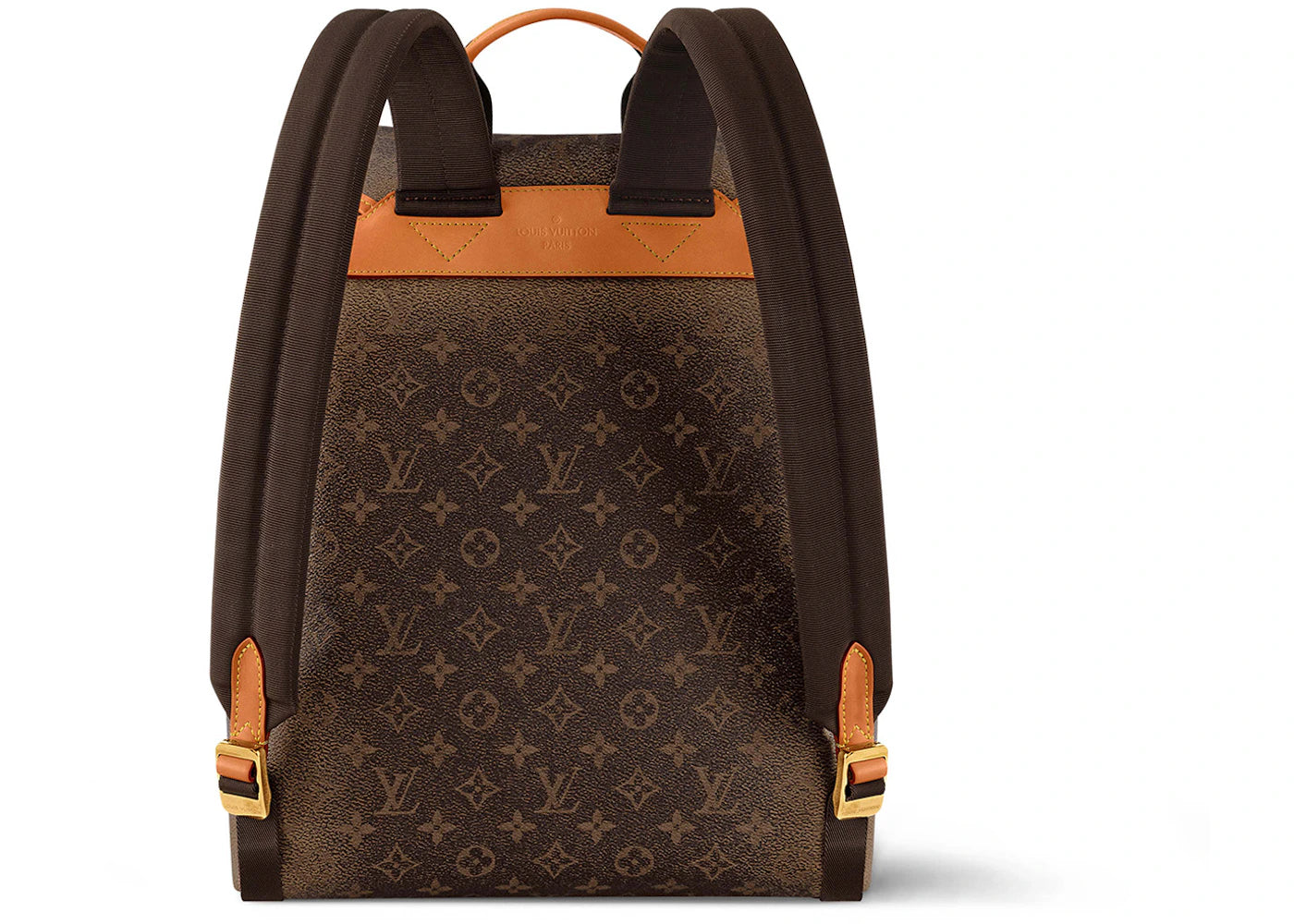 louis vuitton montsouris backpack monogram dust 