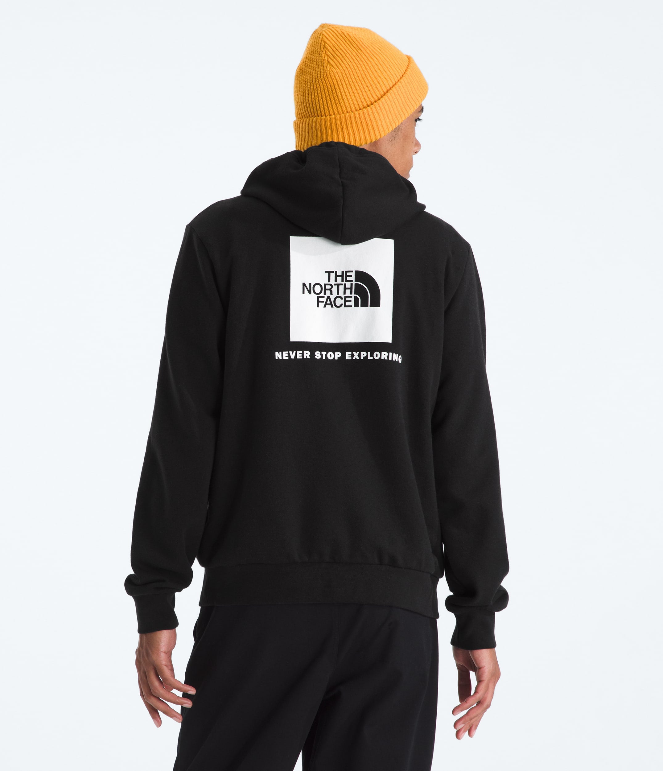 #color_tnf-black