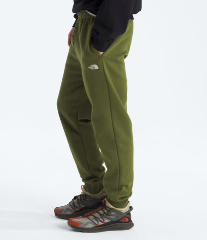 The North Face Men’s Evolution Simple Dome Regular Joggers Woodland Green