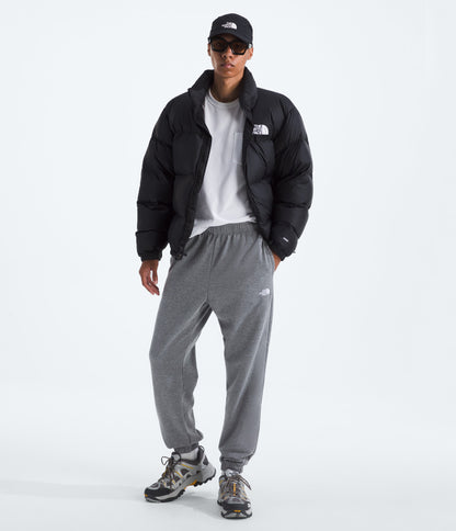 The North Face Men’s Evolution Simple Dome Regular Pants TNF Mid Grey Heather