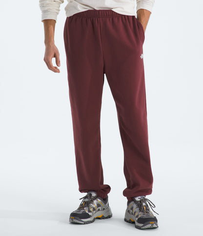 The North Face Men’s Evolution Simple Dome Regular Pants Sumac