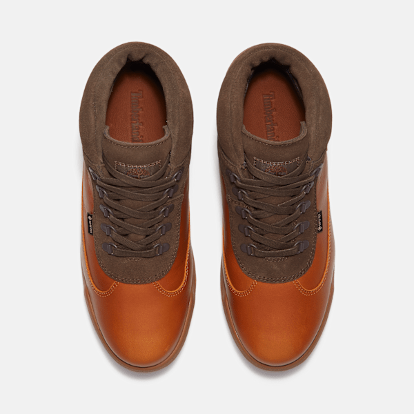 Timberland Field Boot With Gore-Tex Membrane Brown Full-Grain Men'S