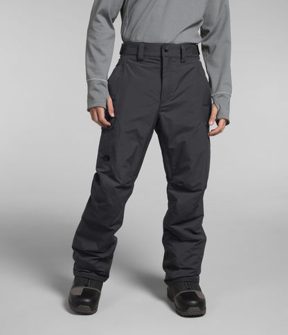 The North Face Men’s Freedom Insulated Pants Asphalt Grey