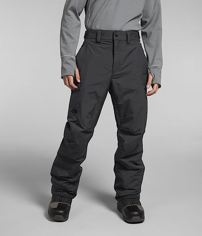 The North Face Men Freedom Insulated Pants TNF Black Utility Brown Dusk Blue Asphalt Grey