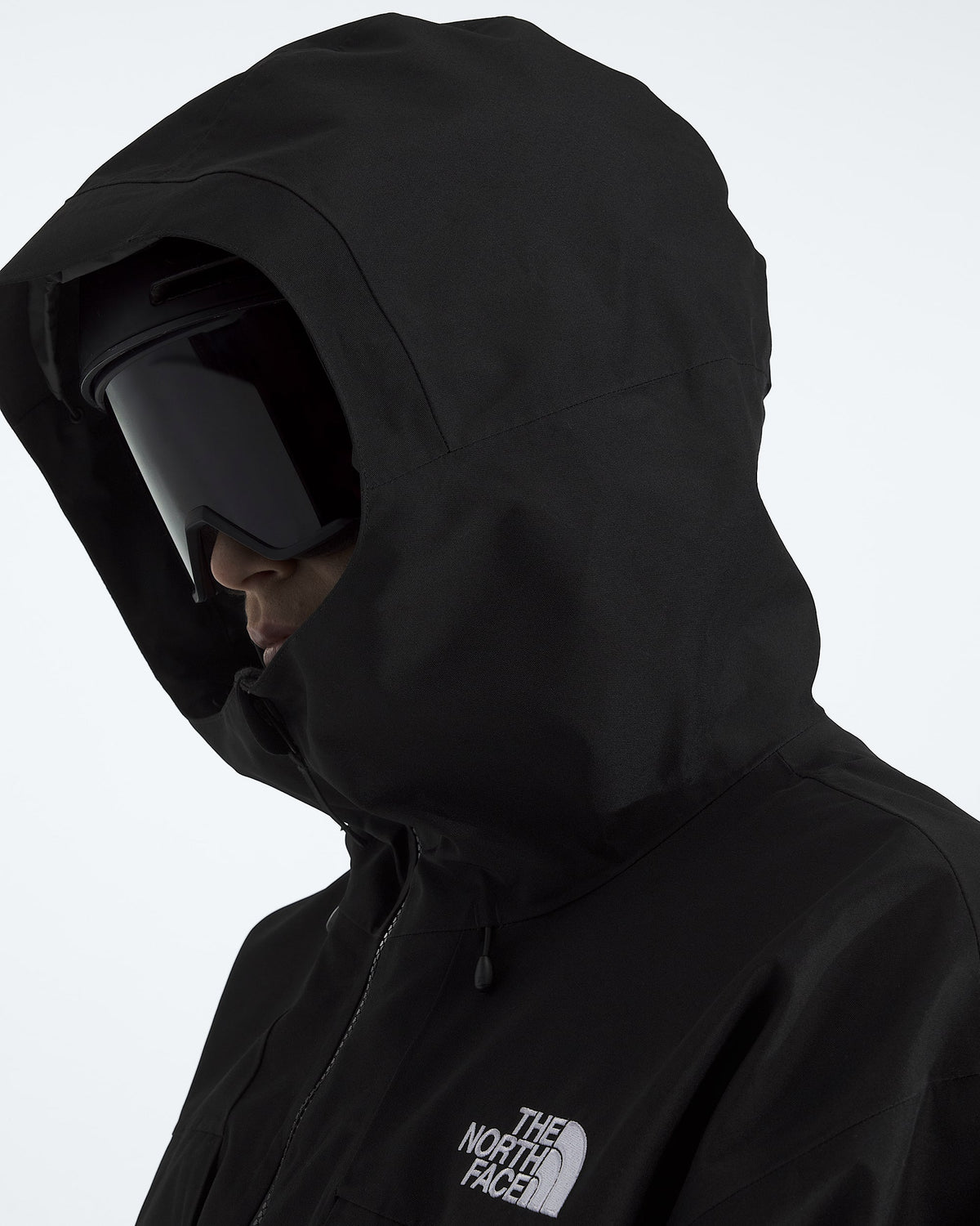 The North Face Men’s GTX Hex Jacket