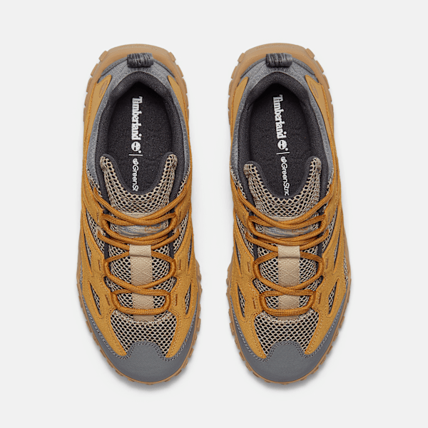 Timberland Greenstride Motion 6 Sneaker Wheat Mesh Men'S