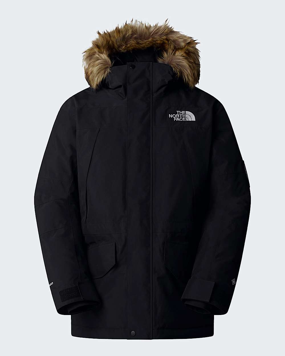 The North Face Men’s McMurdo 2L GORE-TEX® Down Parka