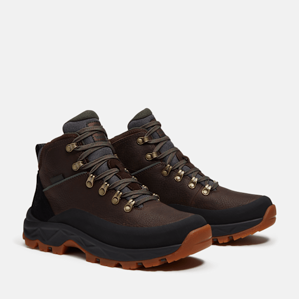 Timberland Mt Maddsen 20 Hiking Boot Dark Brown Full-Grain Men'S