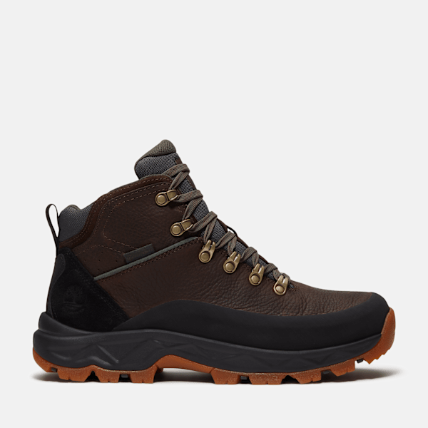 Timberland Mt Maddsen 20 Hiking Boot Dark Brown Full-Grain Men'S