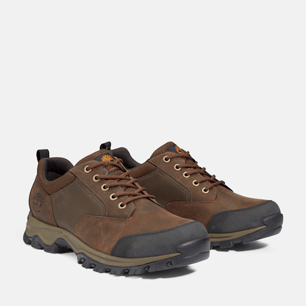Timberland Mt Maddsen Low Waterproof Hiking Boot Brown Men'S