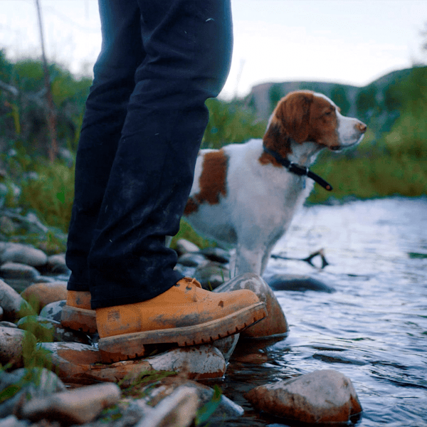 Timberland Pro Direct Attach 6" Waterproof Insulated Steel-Toe Work Boot Wheat Men'S