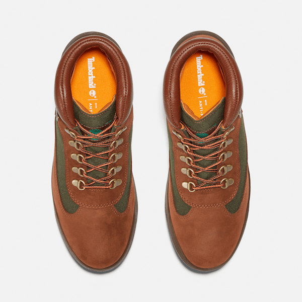 Timberland Mens Waterproof Field Boot Chocolate