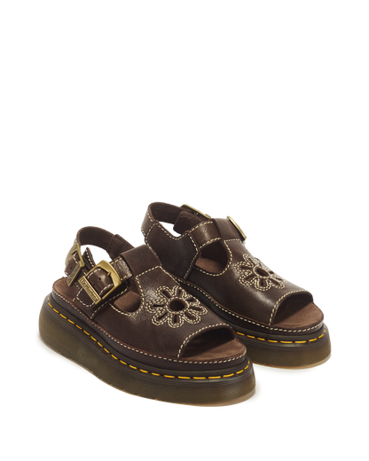 #color_kelp-brown
