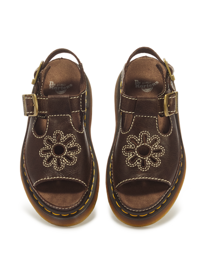 #color_kelp-brown
