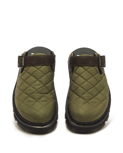 #color_dms-olive