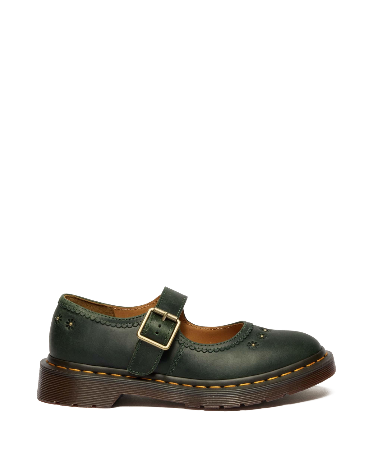 #color_dms-green