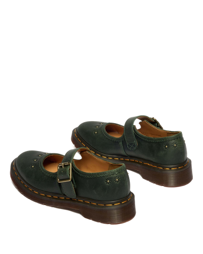 #color_dms-green