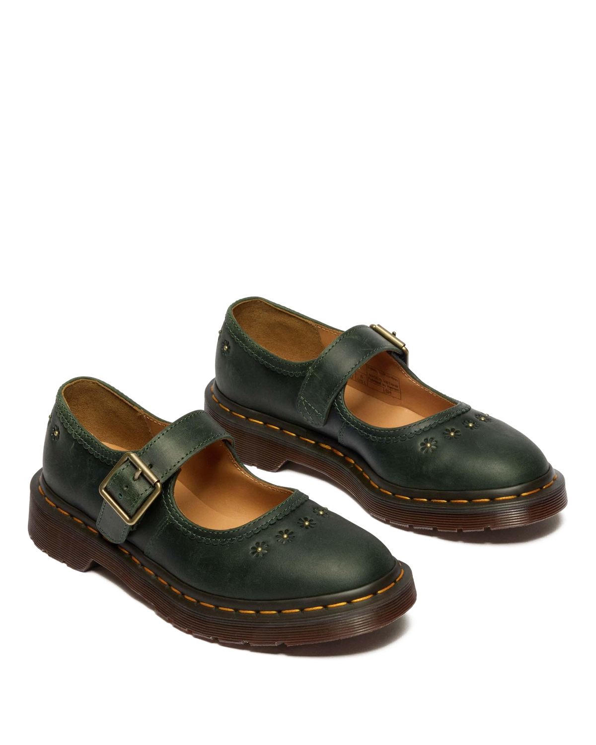 #color_dms-green