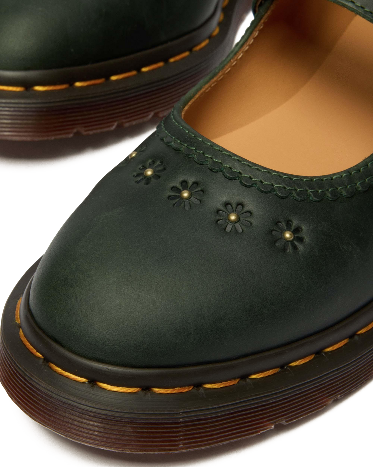 #color_dms-green