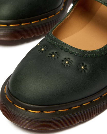 #color_dms-green